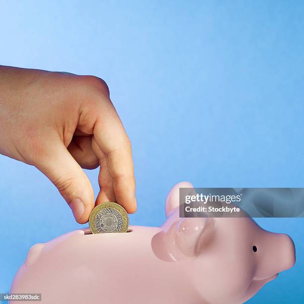 close-up of human hand inserting two pound coin into piggy bank - two pound coin stock pictures, royalty-free photos & images