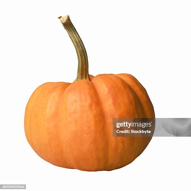 close-up of a miniature pumpkin - miniature pumpkin stock pictures, royalty-free photos & images