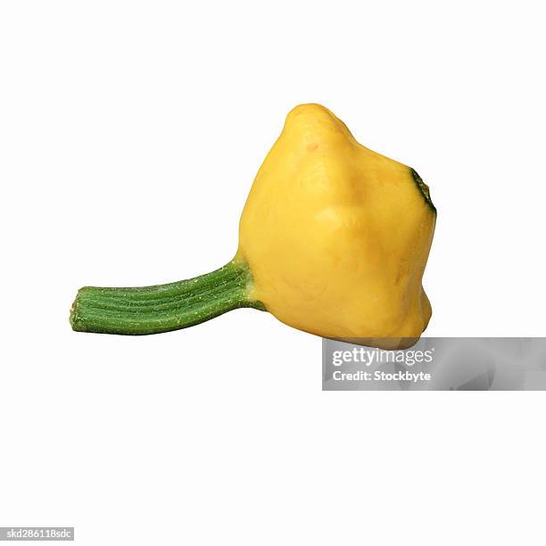 close-up of a patty pan squash - pan stock-fotos und bilder