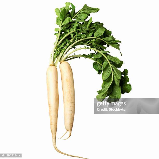 close-up of daikon a japanese radish - daikon stock pictures, royalty-free photos & images