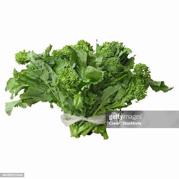 close-up of broccoli rabe - cruciferae fotografías e imágenes de stock