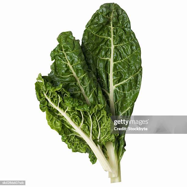 close-up of swiss chard - chard stock pictures, royalty-free photos & images