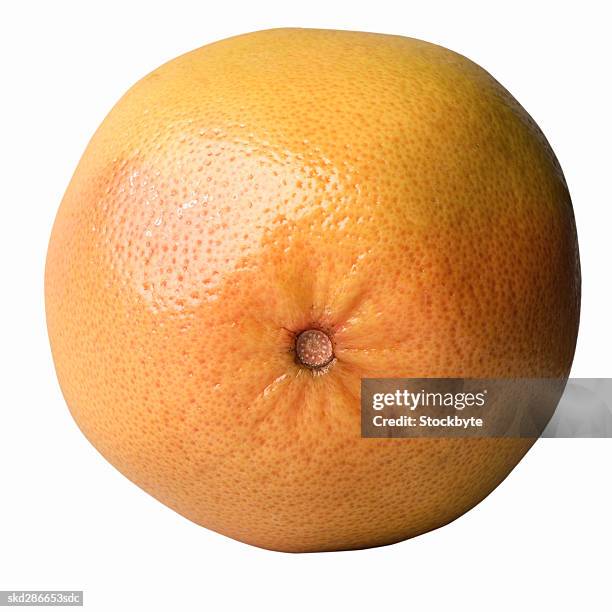 close-up of a pink grapefruit - pink grapefruit stock pictures, royalty-free photos & images