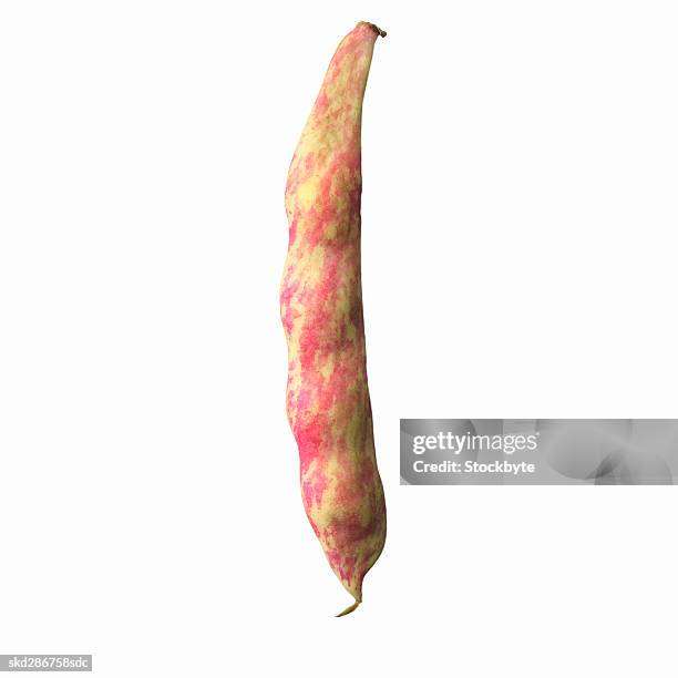close-up of a cranberry bean - pflanzliches entwicklungsstadium stock-fotos und bilder