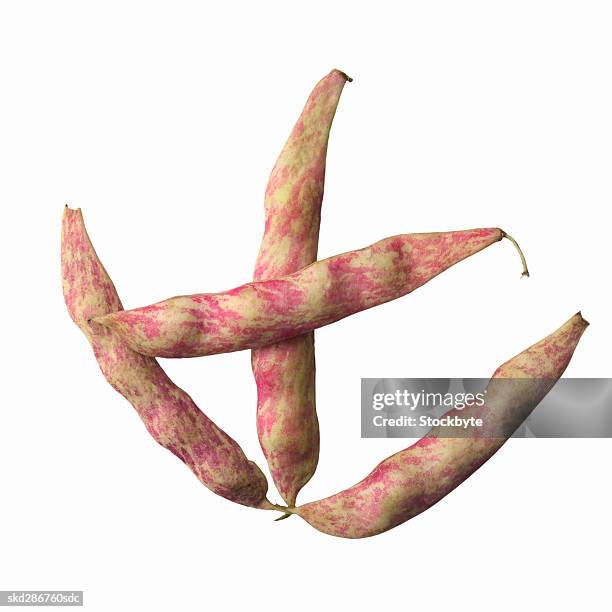 close-up of cranberry beans - pflanzliches entwicklungsstadium stock-fotos und bilder