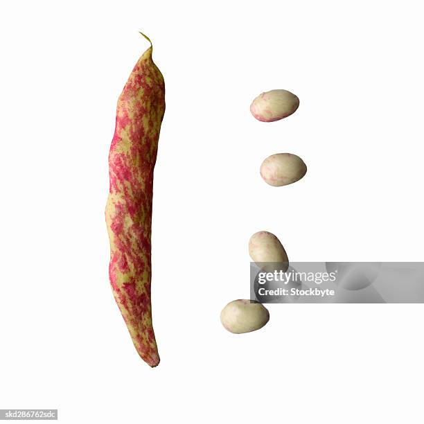 close-up of cranberry beans - pflanzliches entwicklungsstadium stock-fotos und bilder