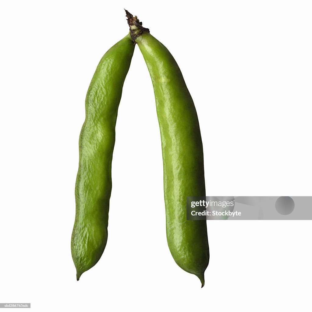 Close-up of fava beans