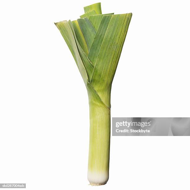 close-up of a leek - leek stock pictures, royalty-free photos & images