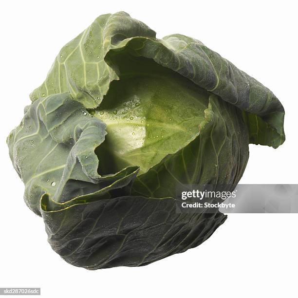 close-up of cabbage - cruciferae fotografías e imágenes de stock