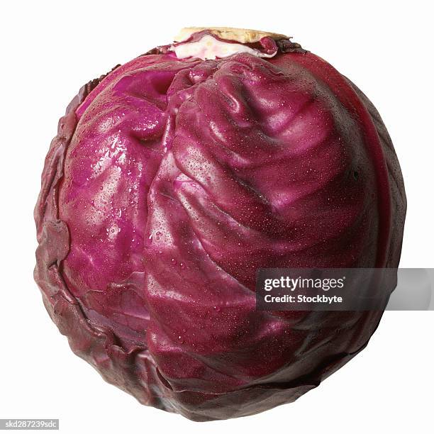 close-up of purple cabbage - cruciferae fotografías e imágenes de stock