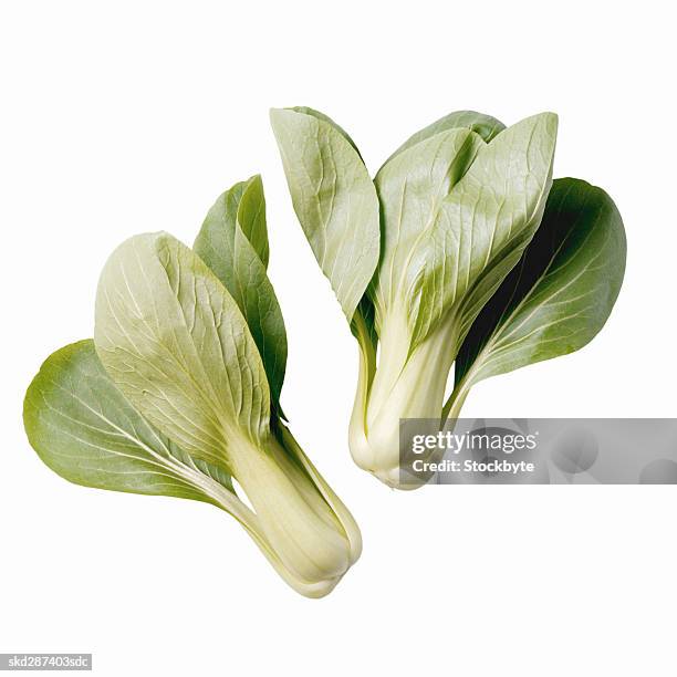 close-up of bok choy - bok choy stockfoto's en -beelden