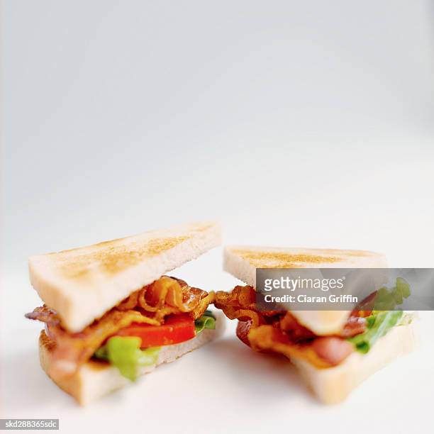 close-up of belt sandwich - belt stockfoto's en -beelden