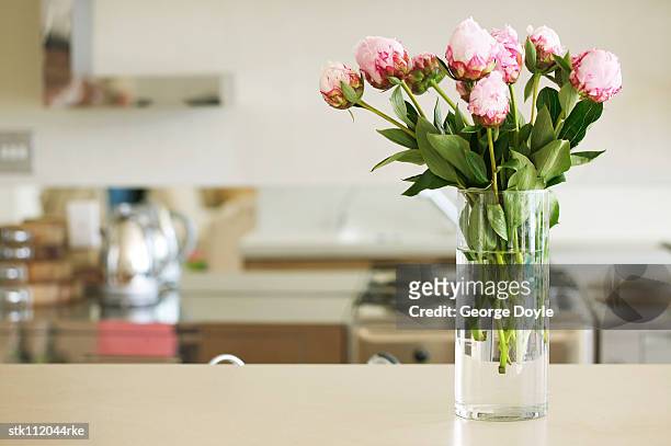 flower vase with pink roses on a counter top - temperate flower stockfoto's en -beelden