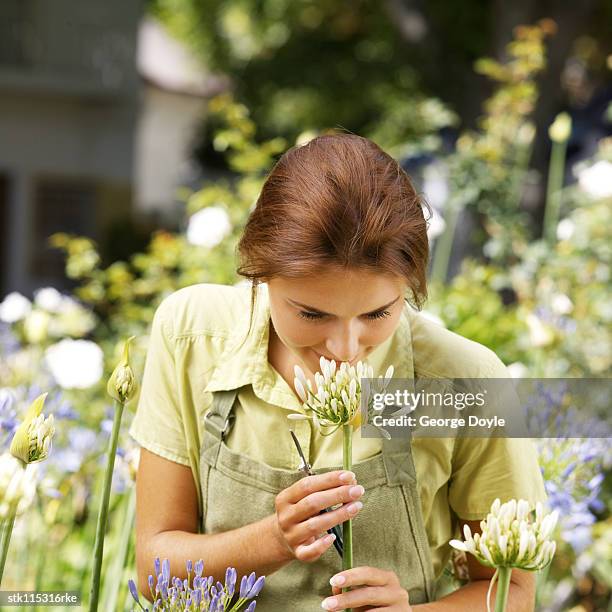 portrait of a young woman smelling a flower - lily family stockfoto's en -beelden