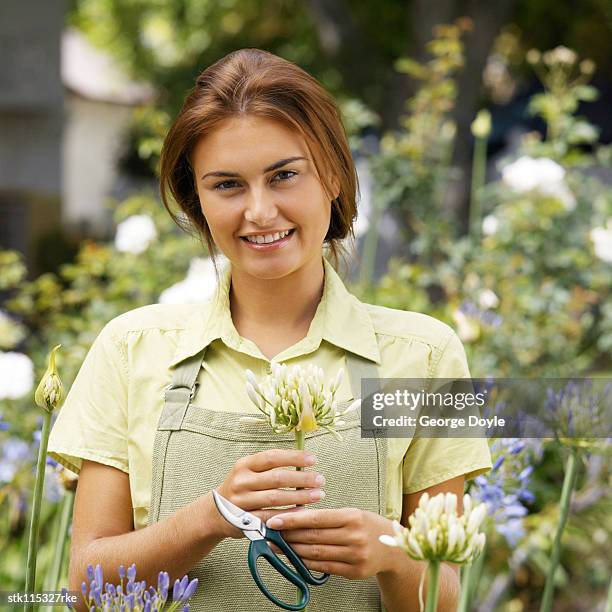 portrait of a young woman with a flower and a pair of sheering scissors - lily family stock-fotos und bilder