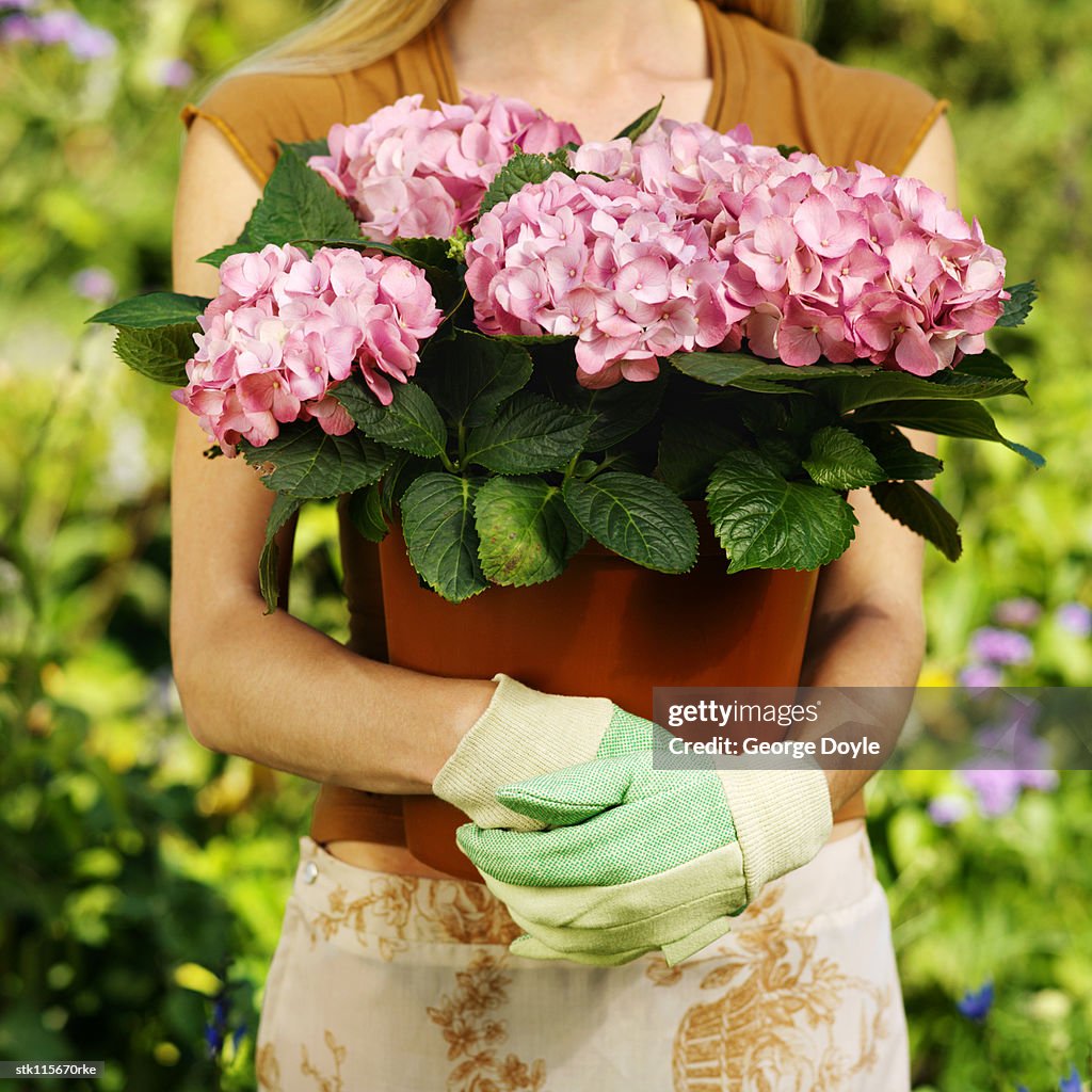 Portrait of a woman posing with a potted plant