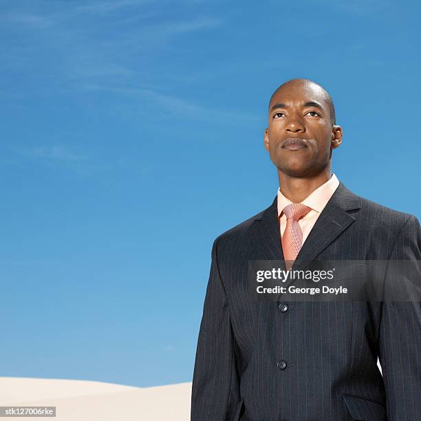 businessman standing in desert low angle view - busboys and poets peace ball voices of hope and resistance stockfoto's en -beelden