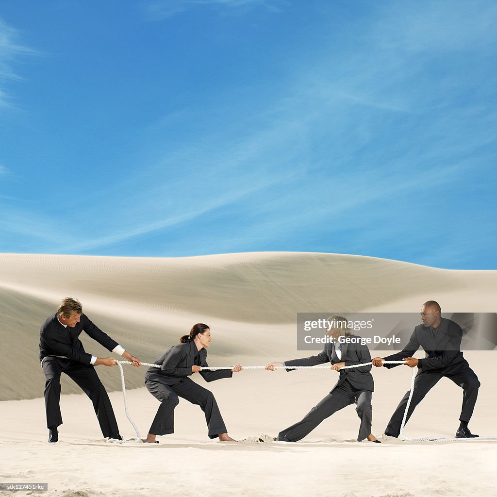 A group of young business executives playing tug of war