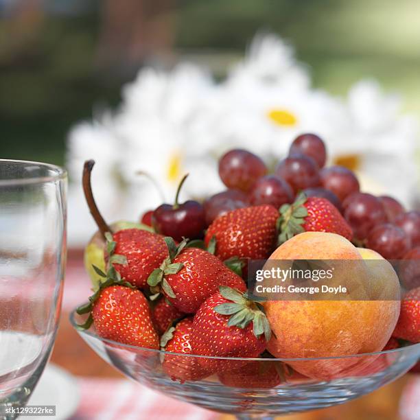 close-up of a basket of assorted fruit - temperate flower bildbanksfoton och bilder