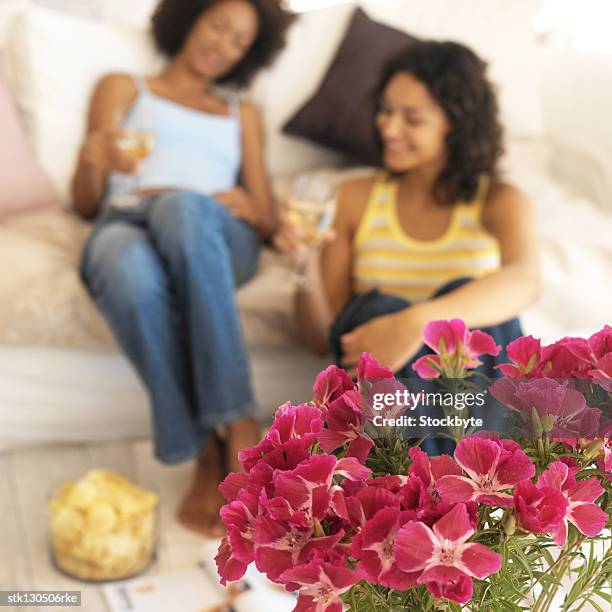 close-up of flowers with two young women sitting on a couch in the background (blurred) - temperate flower bildbanksfoton och bilder