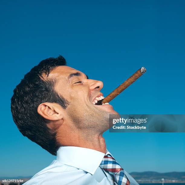 side profile of businessman holding a cigar between his teeth - between stock-fotos und bilder