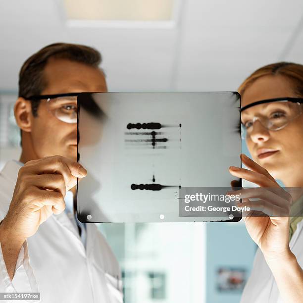 portrait of young microbiologists holding an x-ray film with a dna pattern - informational stock pictures, royalty-free photos & images