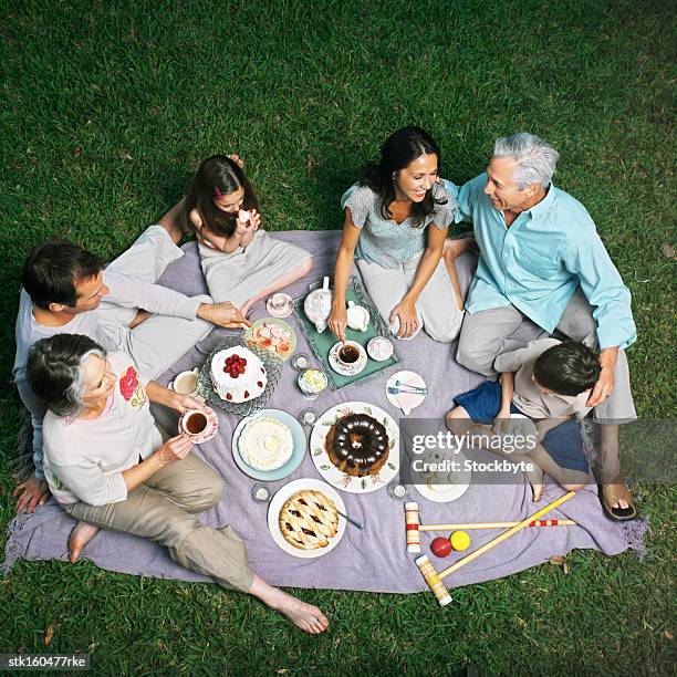 elevated view of three generation family having picnic - national youth theatre 60th anniversary gala the story of our youth at 60 stockfoto's en -beelden