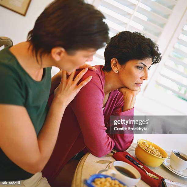 side view of a woman talking to another woman at a dinner table - aother stock pictures, royalty-free photos & images