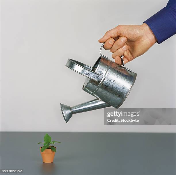 person watering a miniature potted plant with a watering can - pitorro fotografías e imágenes de stock