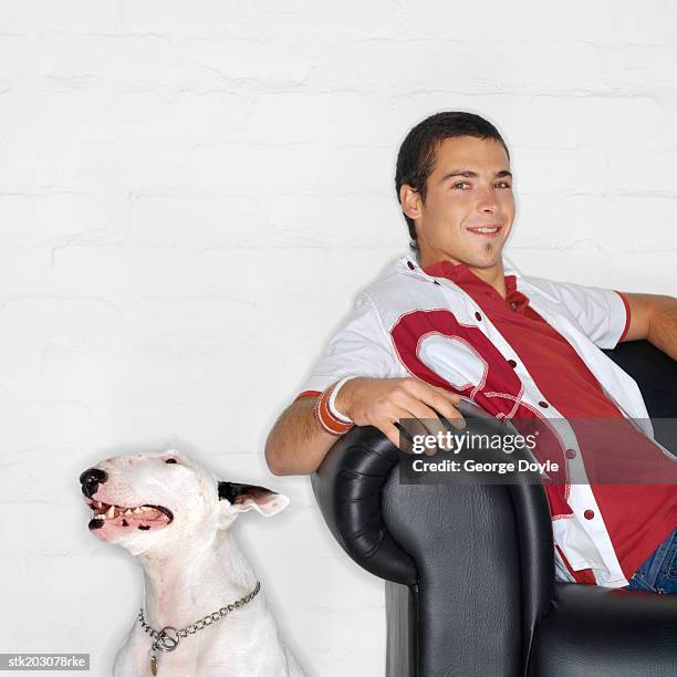 portrait of a man sitting on a couch with his pit bull dog on the floor - bull stock-fotos und bilder