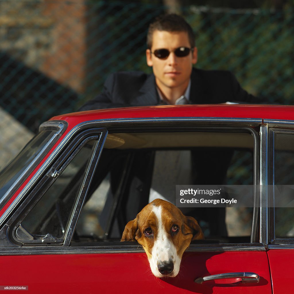 Portrait of a man standing by his car with his basset hound leaning out the window