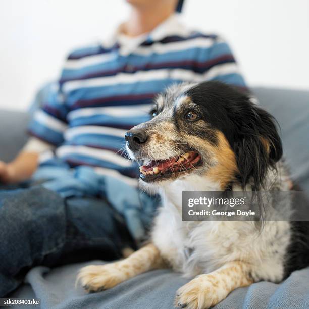George Shepherd 1,429 George Shepherd Stock Photos, High-Res Pictures, and Images ...