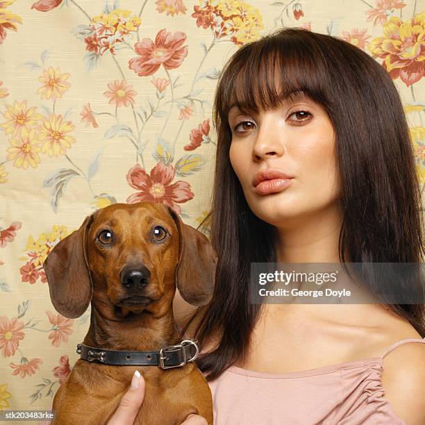 close up portrait of a woman holding a daschund - hound stock pictures, royalty-free photos & images