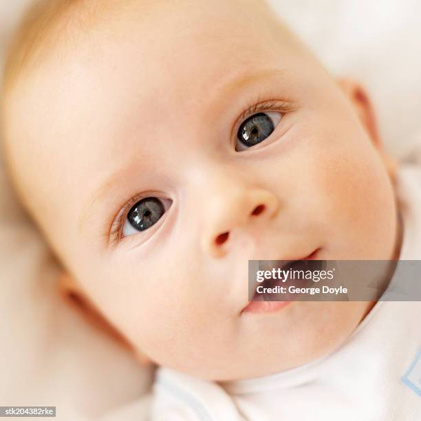 close up elevated portrait of a baby (6-12 months) - only baby boys stock pictures, royalty-free photos & images