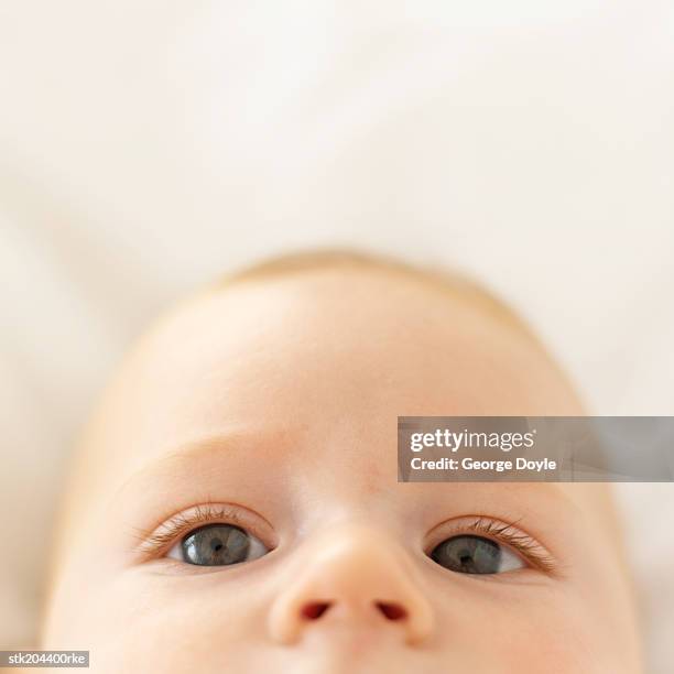 close up elevated portrait of a baby (6-12 months) - only baby boys stock pictures, royalty-free photos & images