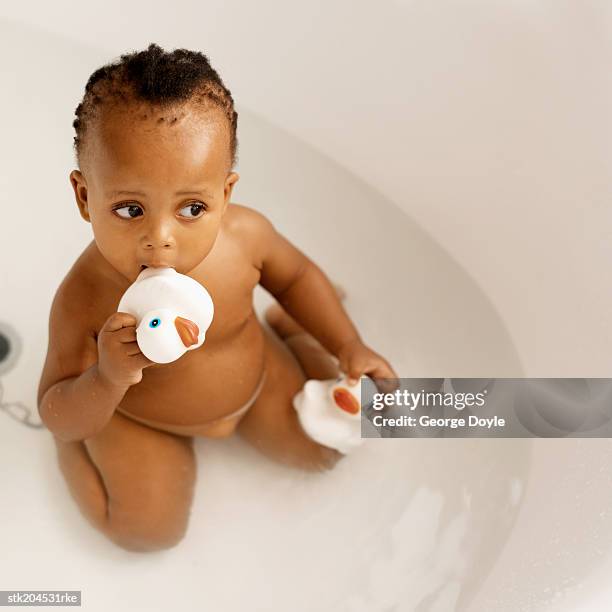 elevated view of a baby (6-12 months) in a bath holding a rubber duck - baby bath toys stock pictures, royalty-free photos & images