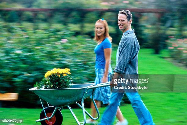side profile of a couple pushing a wheel barrow in a garden - temperate flower stockfoto's en -beelden