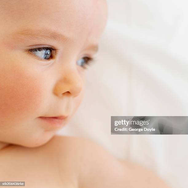 elevated close up view of a baby (12-18 months) - only baby boys stock pictures, royalty-free photos & images