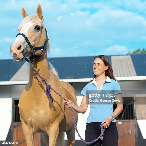 low angle view of a teenage girl (15-17) holding a horse - low rider bildbanksfoton och bilder