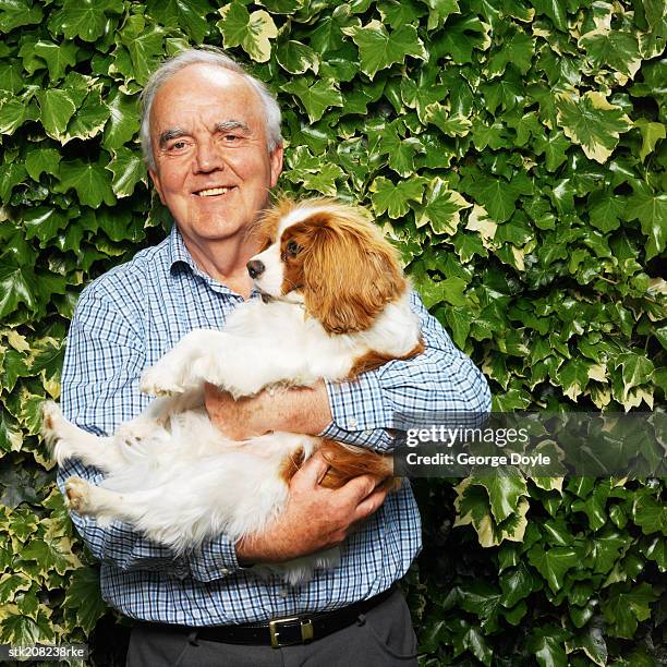 portrait of a man holding a cavalier king charles spaniel - cavalier stock-fotos und bilder