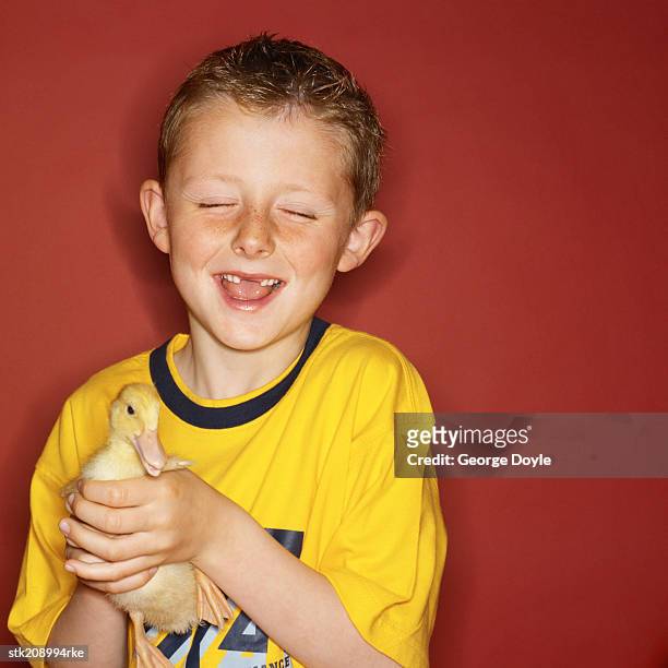 portrait of a boy (6-7) holding a duckling - child eyes closed stock pictures, royalty-free photos & images