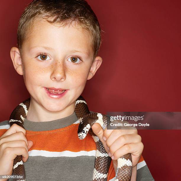 portrait of a boy (7-8) with a snake around his neck - exotic pets stock pictures, royalty-free photos & images