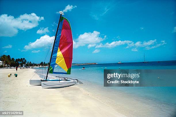 close up view of a beach and windsurfer in antigua - lesser antilles foto e immagini stock