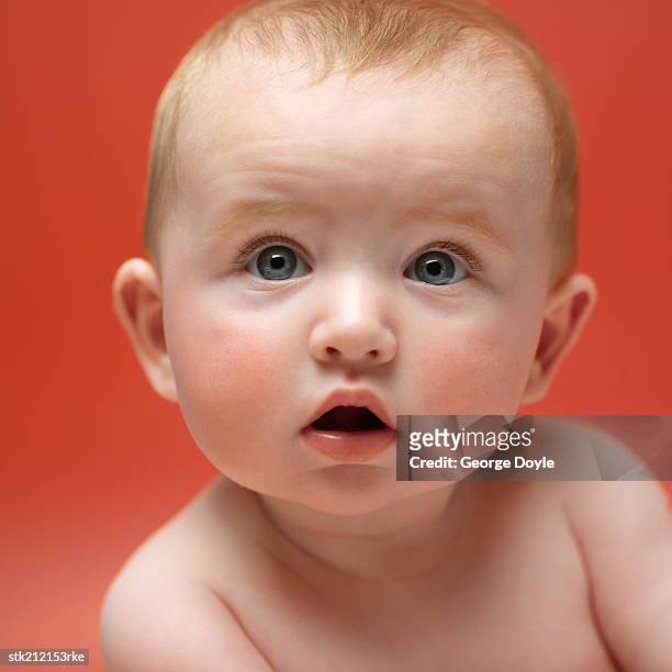 close up view of a baby girl (6-12 months) looking surprised - only baby boys stock pictures, royalty-free photos & images