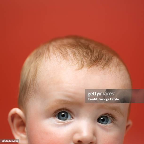 close up view of a baby girl (6-12 months) looking surprised - only baby boys stock pictures, royalty-free photos & images