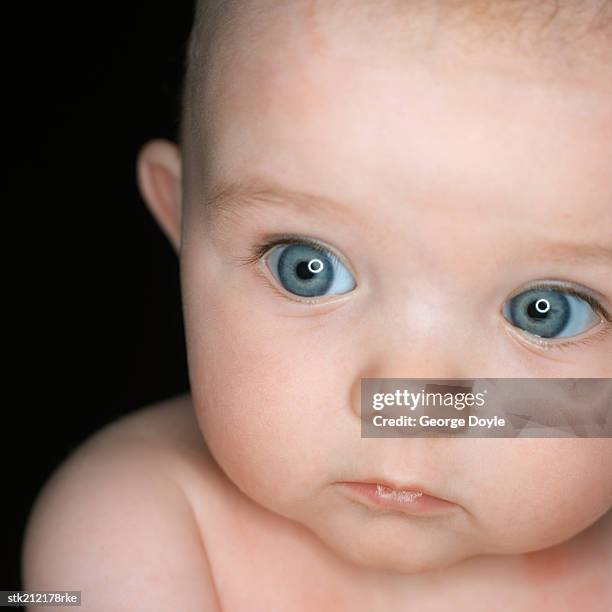 close up view of baby (3-6 months) - opening night of bb forever brigitte bardot the legend stockfoto's en -beelden