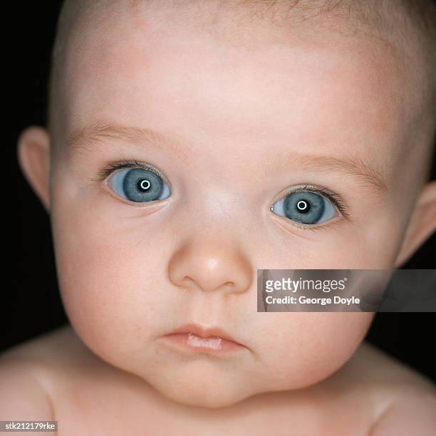 close up portrait of baby  (3-6 months) - opening night of bb forever brigitte bardot the legend stockfoto's en -beelden