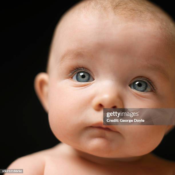 close up view of baby  (3-6 months) - opening night of bb forever brigitte bardot the legend stockfoto's en -beelden