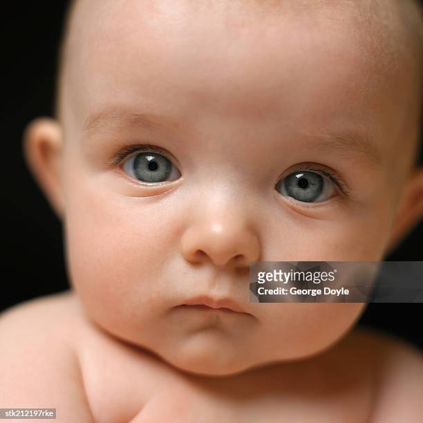 close up portrait of baby (3-6 months) - only baby boys stock pictures, royalty-free photos & images