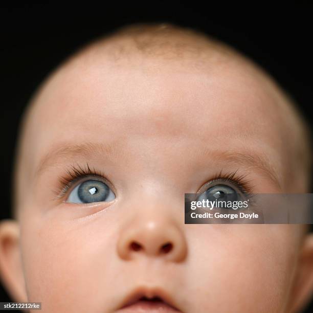 close up view of baby  (3-6 months) - opening night of bb forever brigitte bardot the legend stockfoto's en -beelden